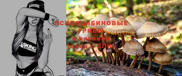 твердый Беломорск
